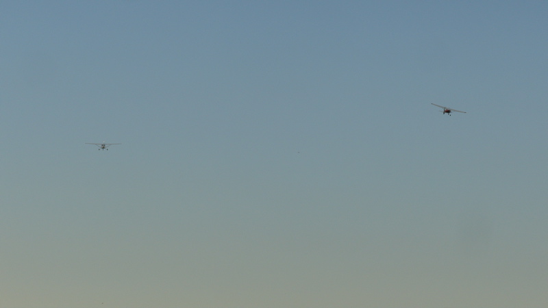 S1050545.jpg