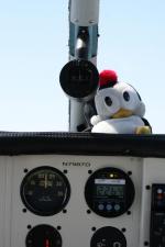 IMG_8548ChillyWilly