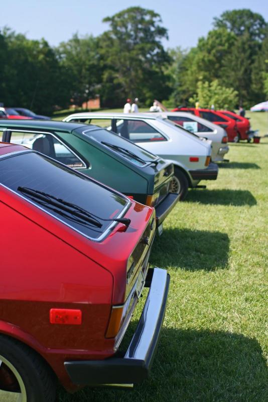 IMG_8565Rears