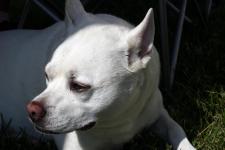 IMG_8573Benny